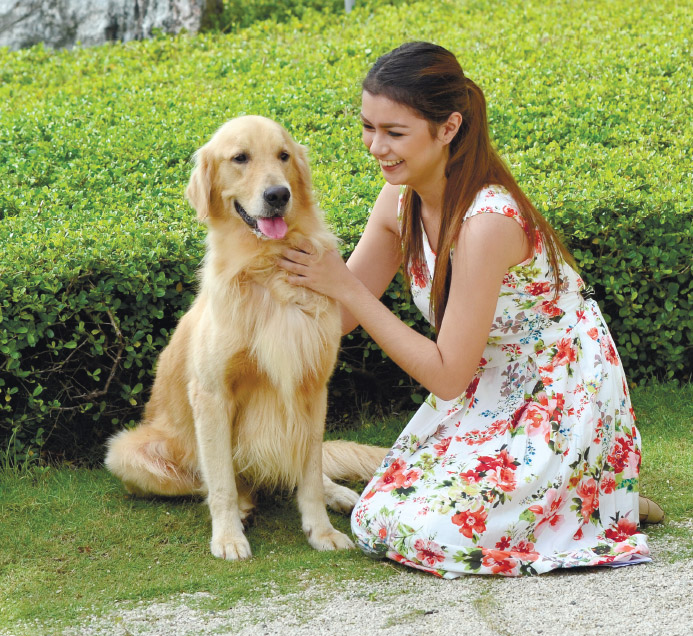 Parkmall - Best Pet-friendly Mall